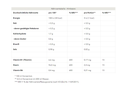 Best Body Vital Drink Flavour Drops 1:80 - 48ml Squeeze Flasche Ginger Ale