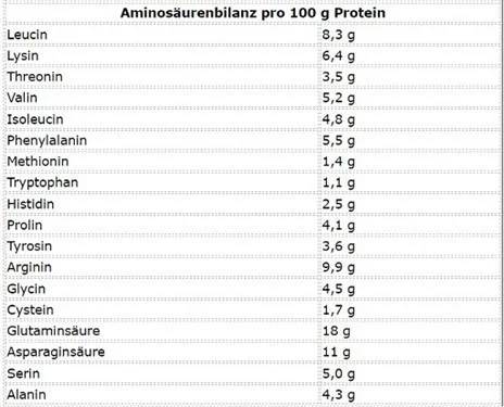 More Nutrition Total Vegan Protein 600g Cinnalicious