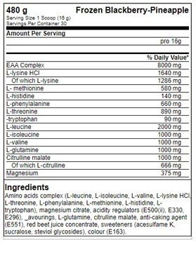 FA Nutrition ICE Hydro Amino - 480g Frozen Orange-Mango